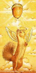 Angel_Squirrel_Ascension-Kimberly_Crick