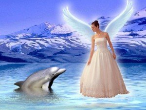 DolphinAndAngel.10594949_std